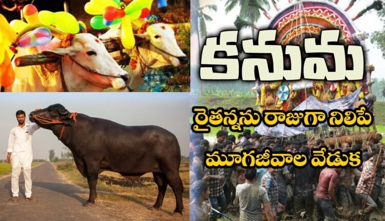 Telugu Traditions - Kanuma