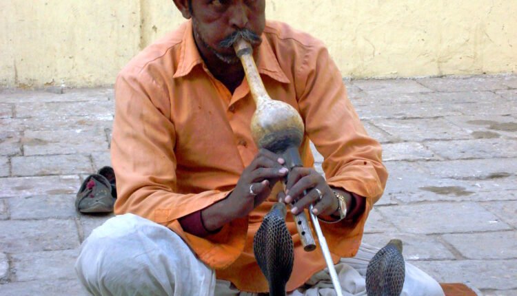 Telugu Traditions - Snake Charming
