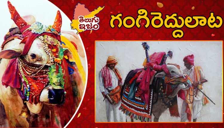 Telugu Traditions - Gangireddulatalu