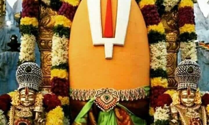 Telugu Traditions - Seva